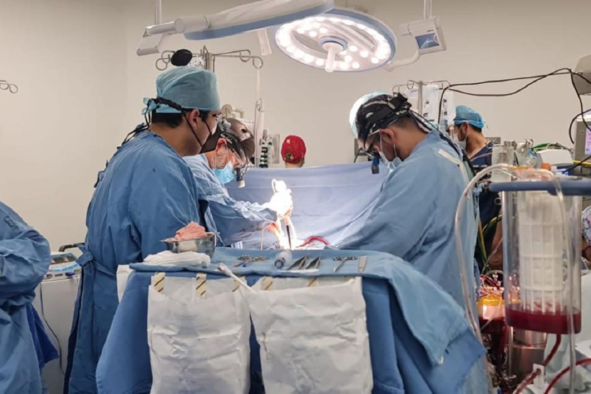 trasplante en el IMSS