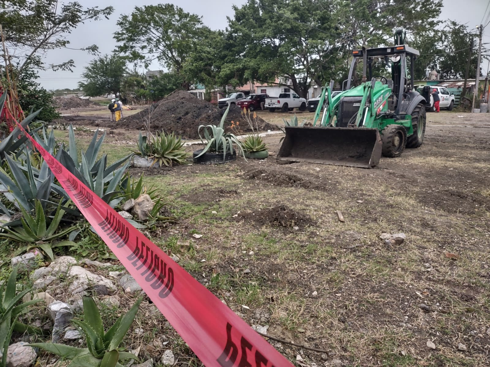 Supervisa la Dirección de Ecología de Ciudad Madero