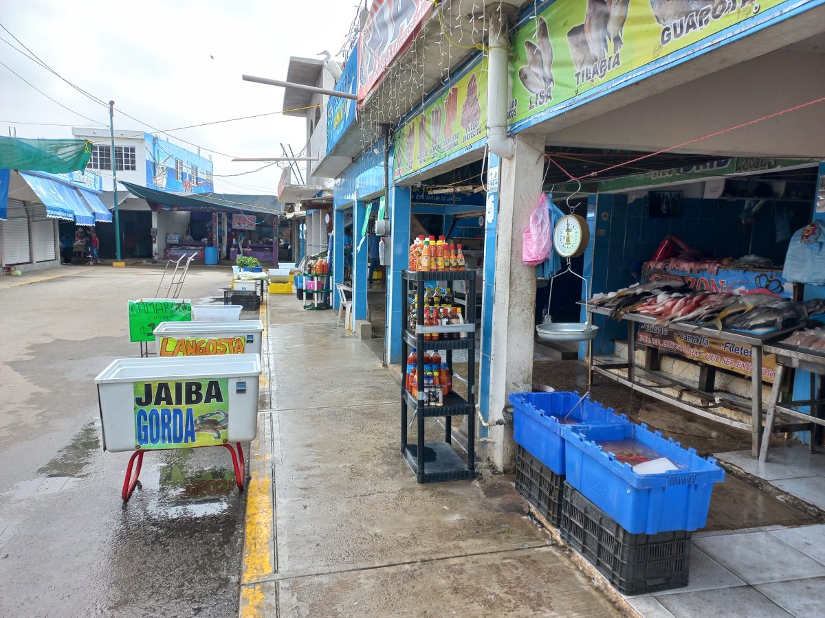 Coepris comenzó con las revisiones a pescaderías