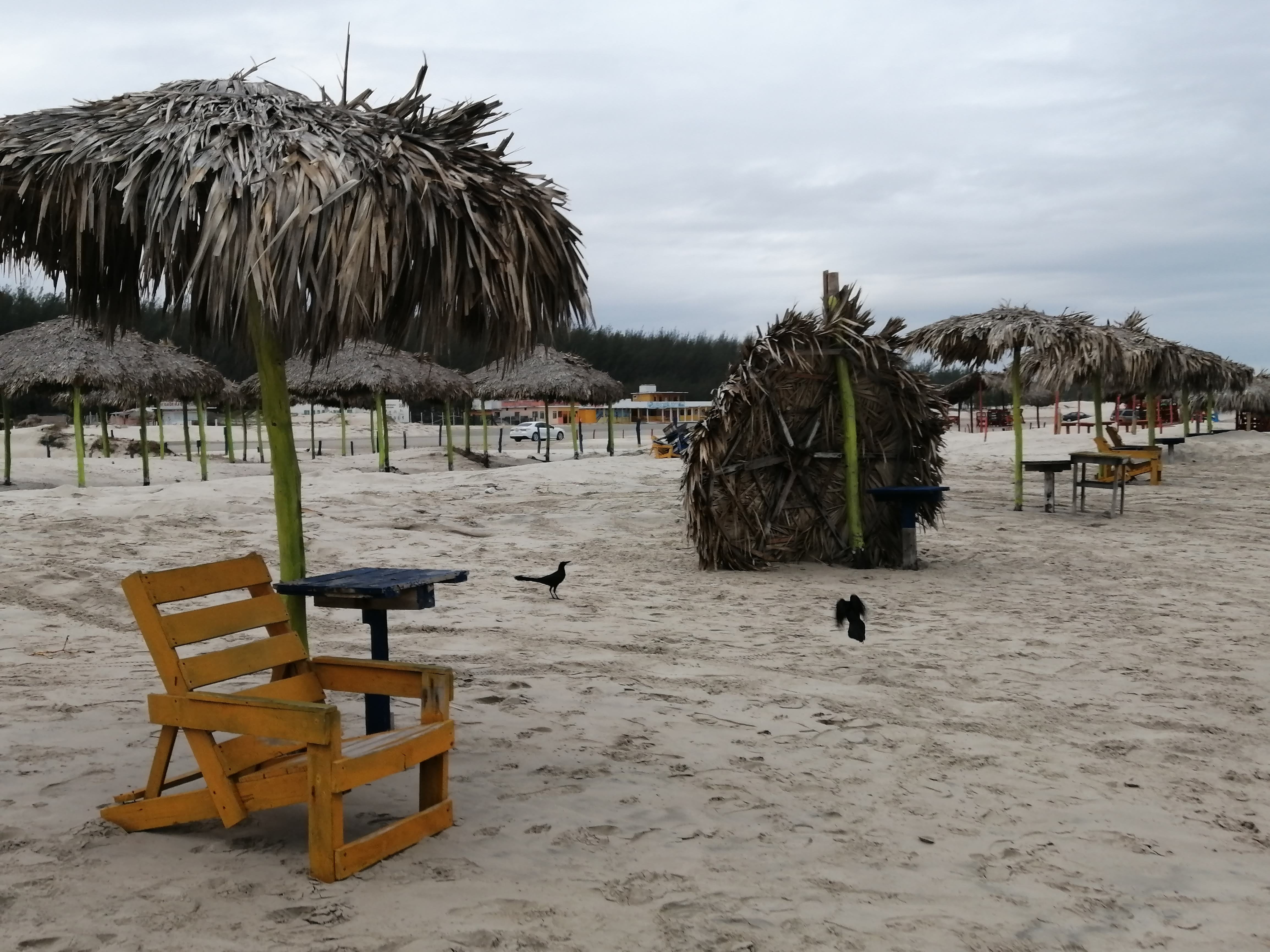 Invierten hasta 4 mil 800