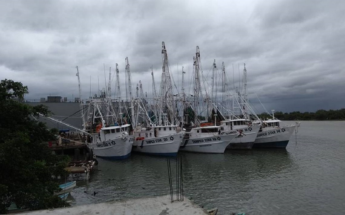 Sector pesquero con falta de apoyos