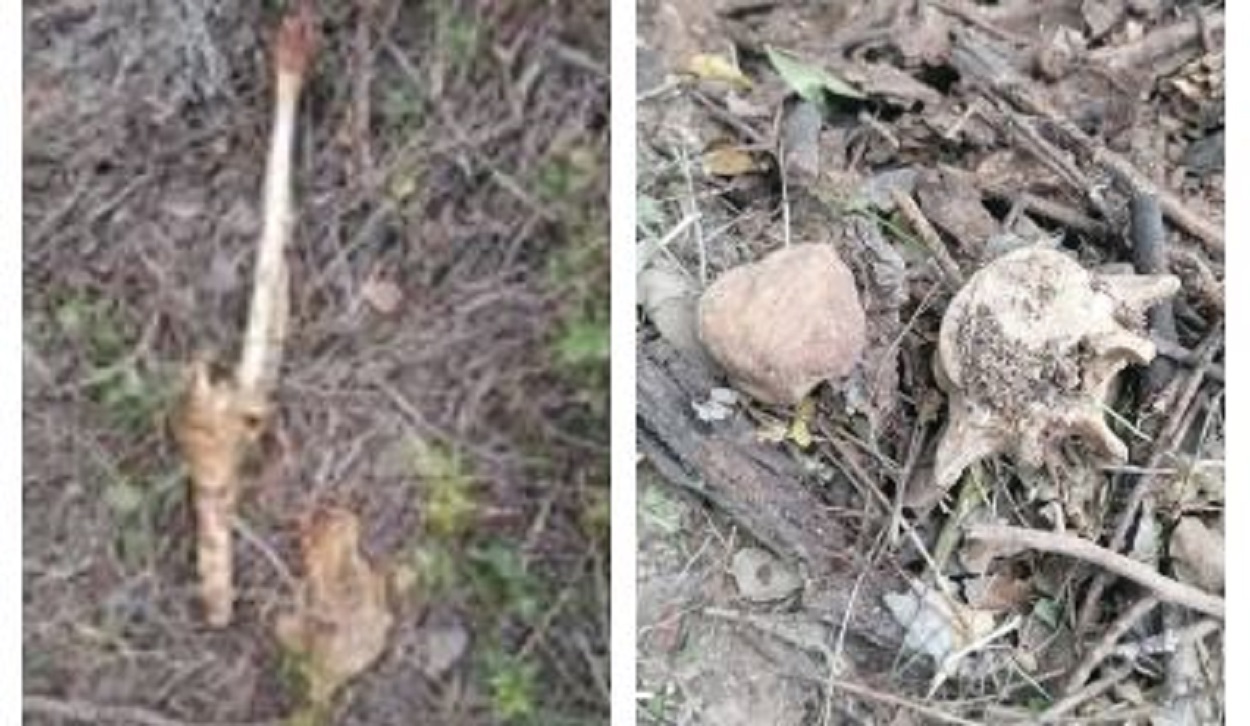 Cerca de parque en Reynosa