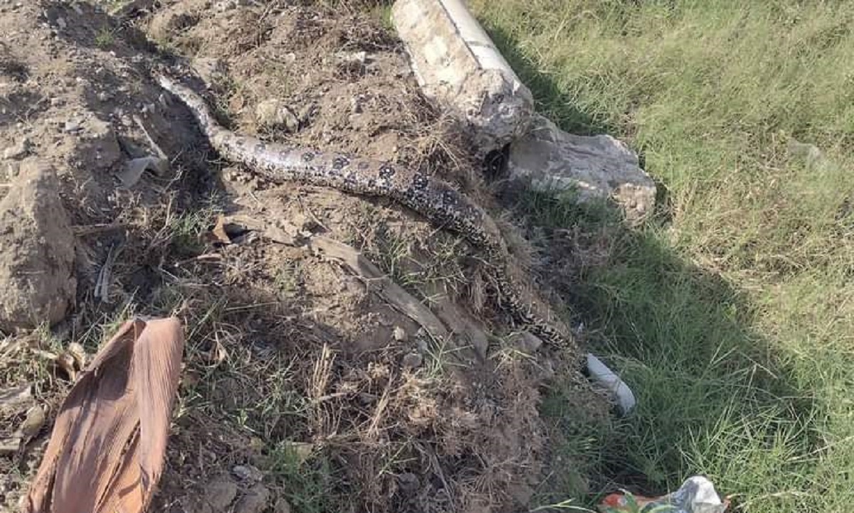 Autoridades en Altamira