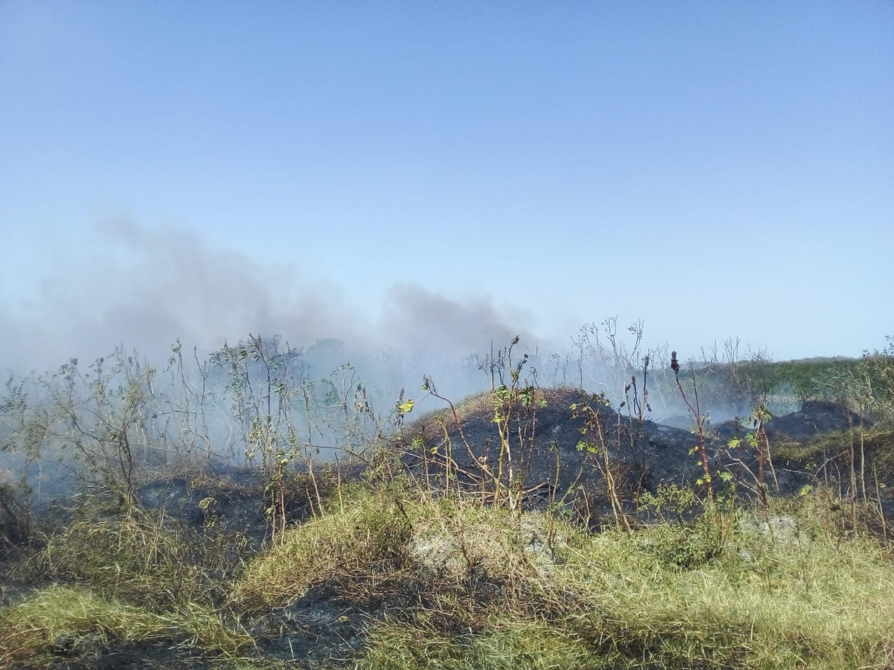 siete incendios de pastizal generaron la movilización