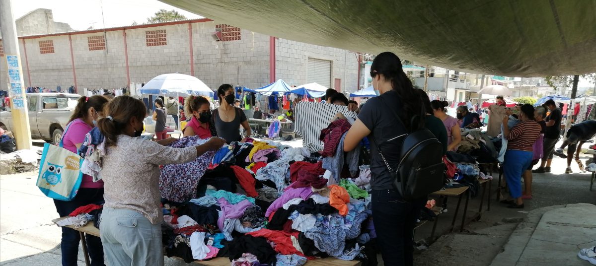 en Altamira han sido creados