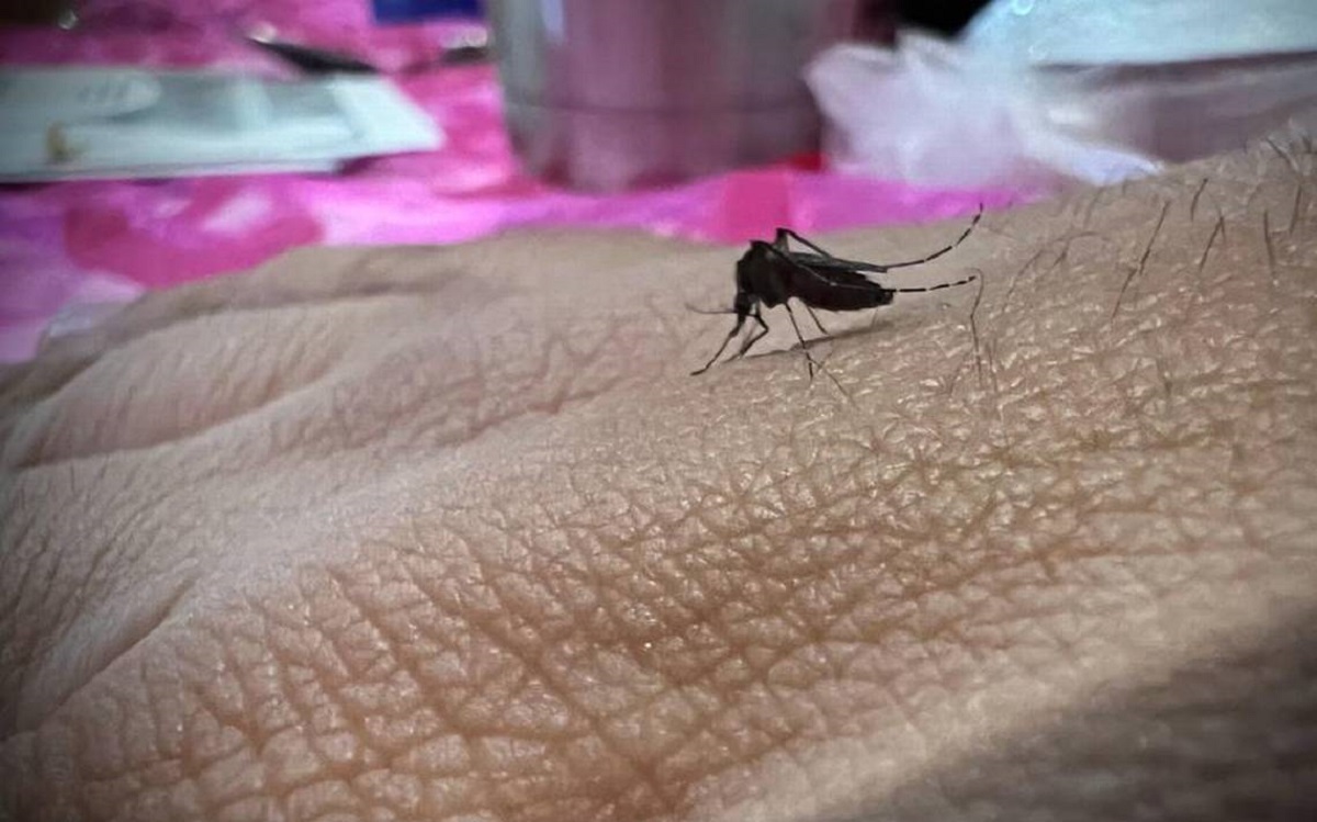 Salud Tamaulipas confirmó primera