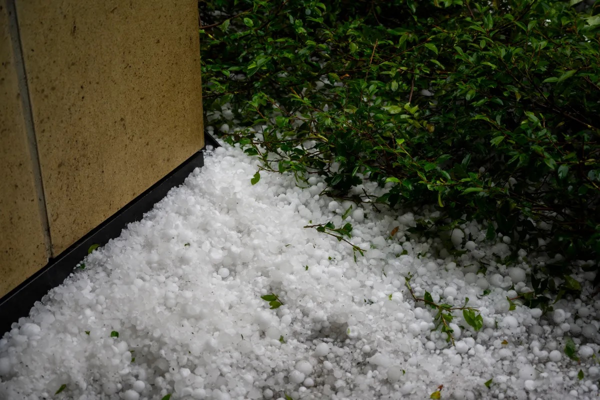 granizo en Tampico Alto