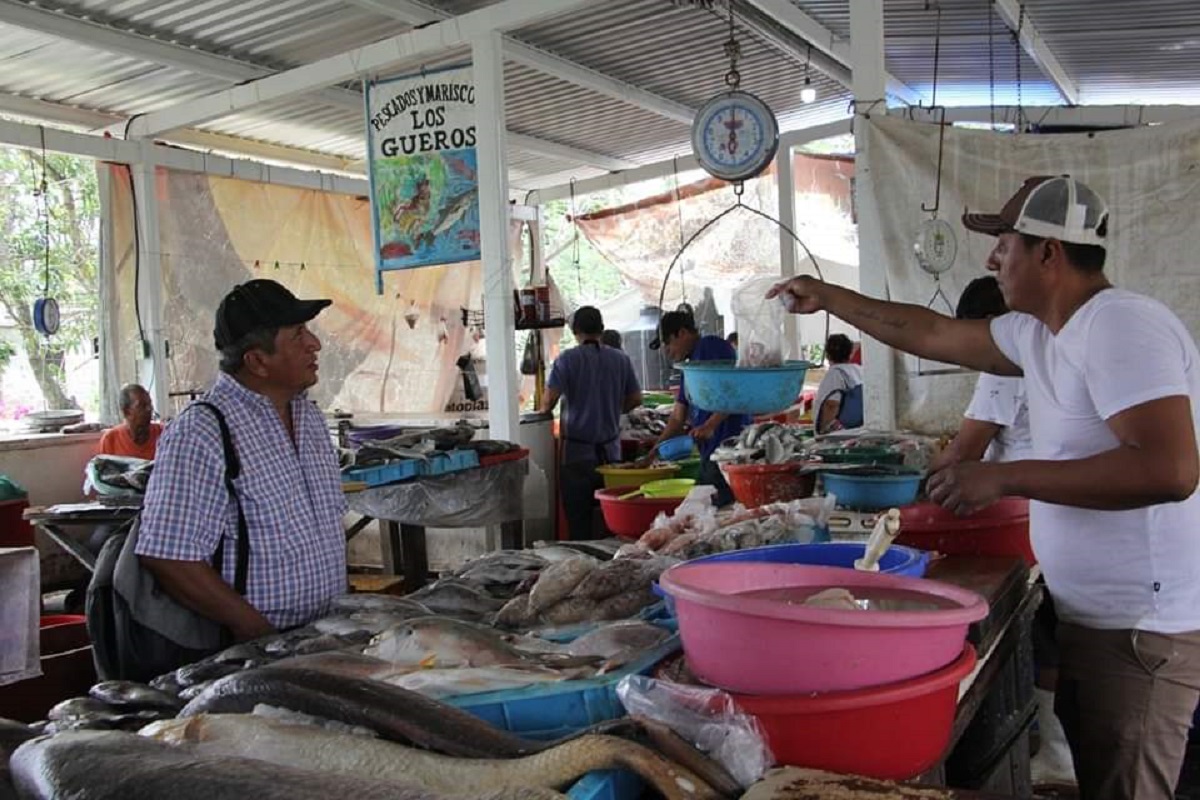 Reubicación de la Puntilla en Tampico