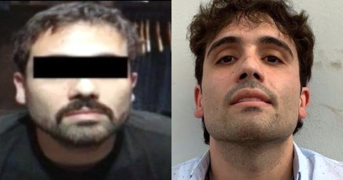 Ovidio Guzmán no librará extradición