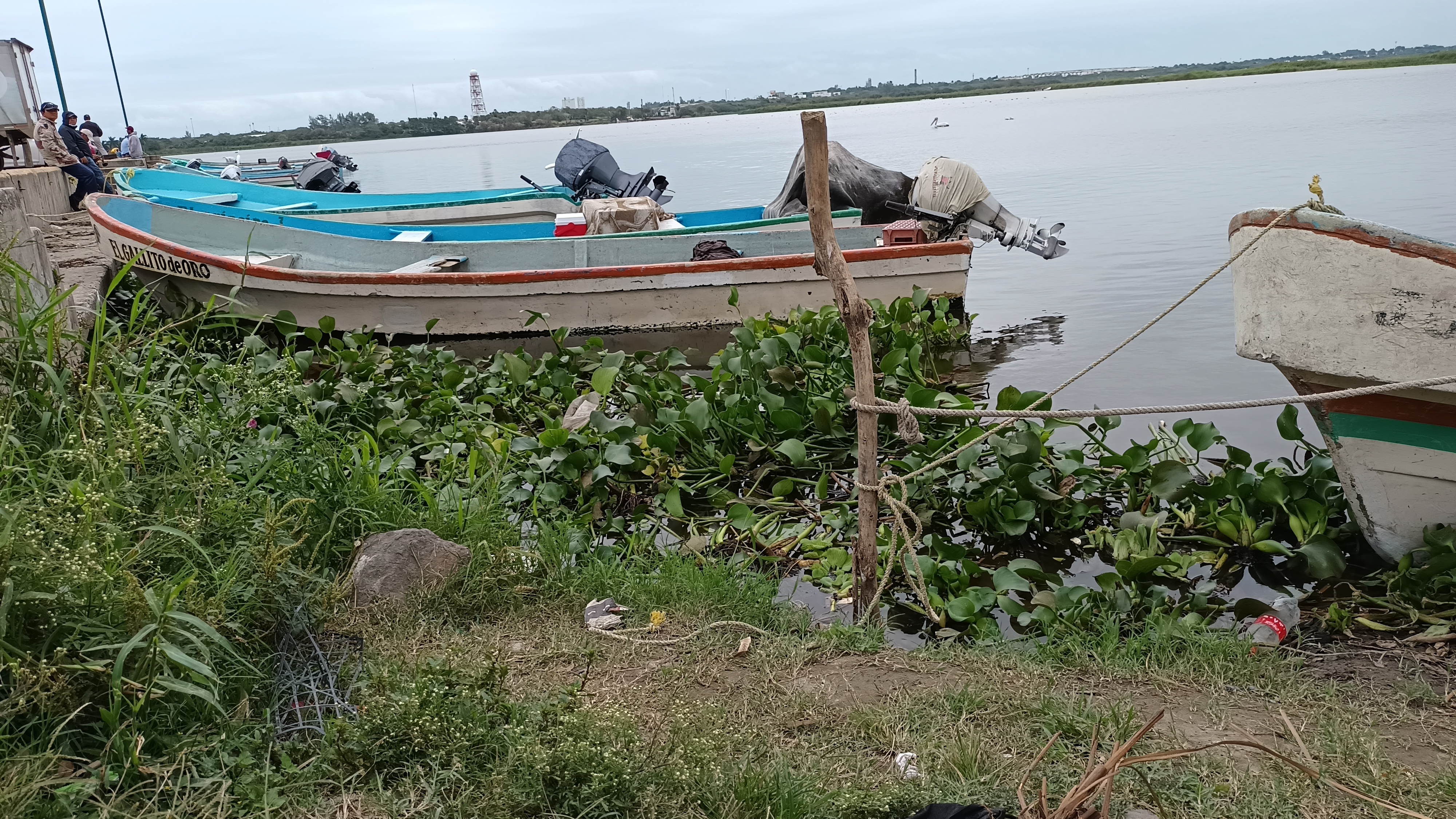 Pescadores de Altamira