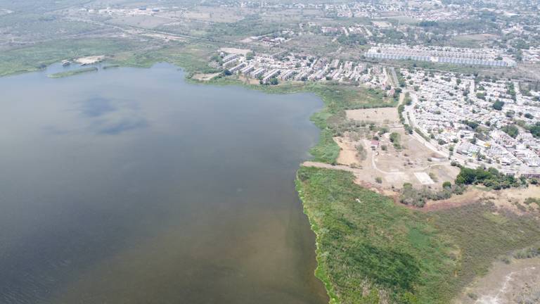 Lagunas del sur de Tamaulipas
