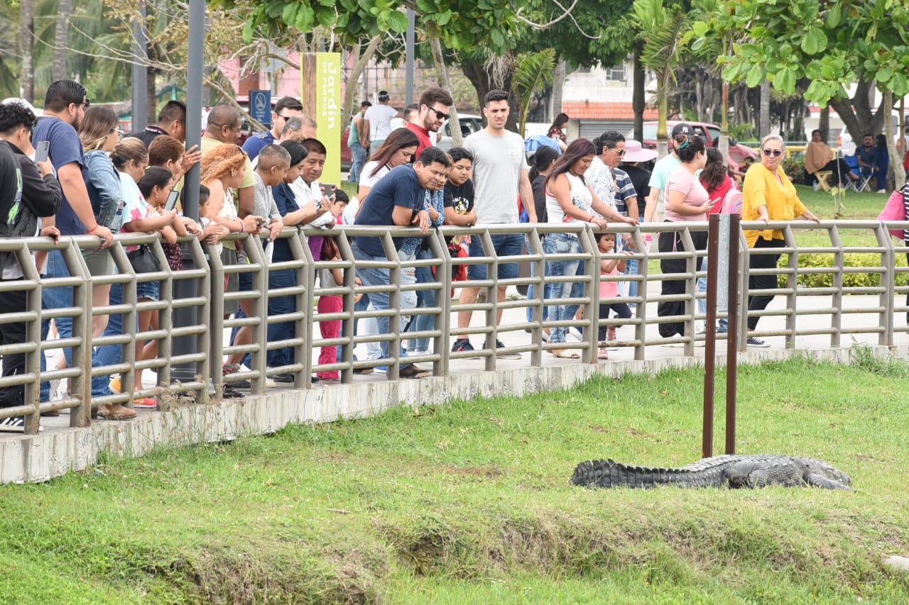 Tampico un lugar para