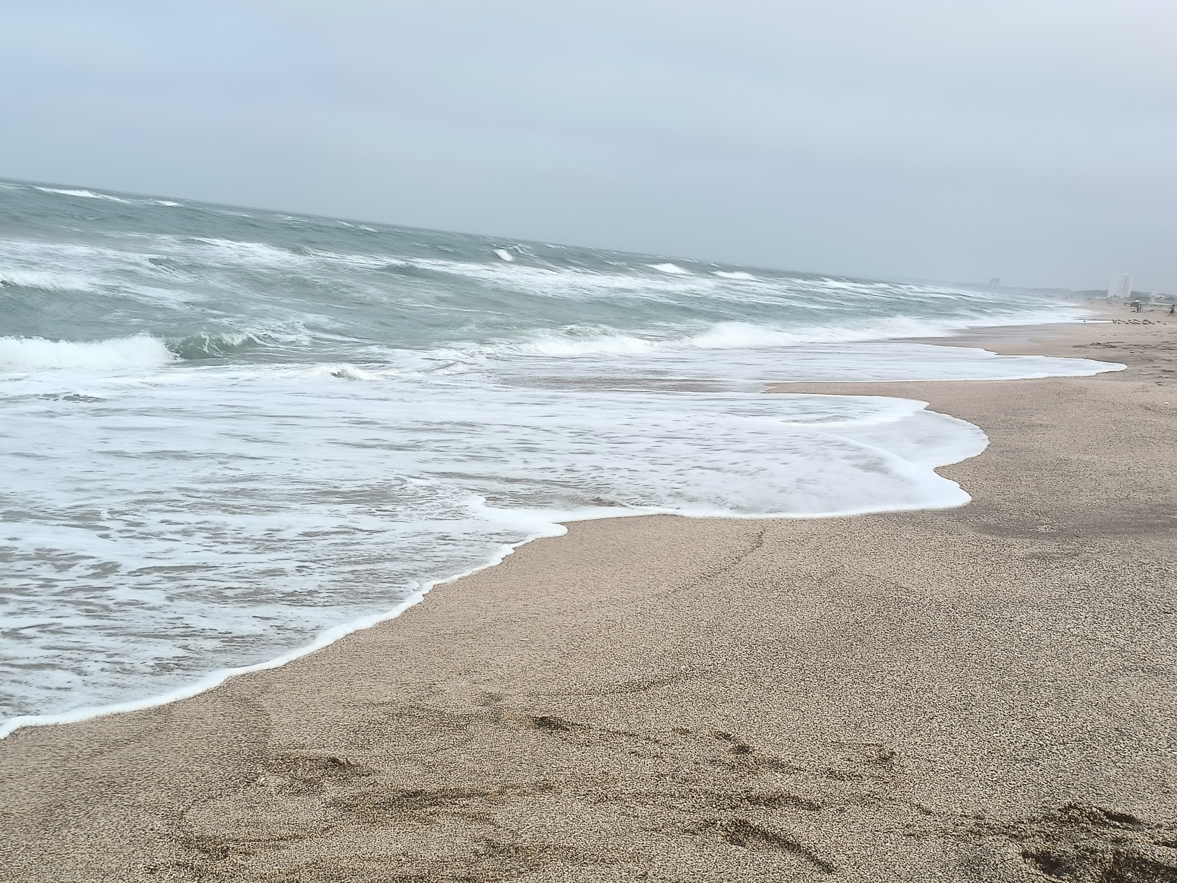 Playa Miramar está libre