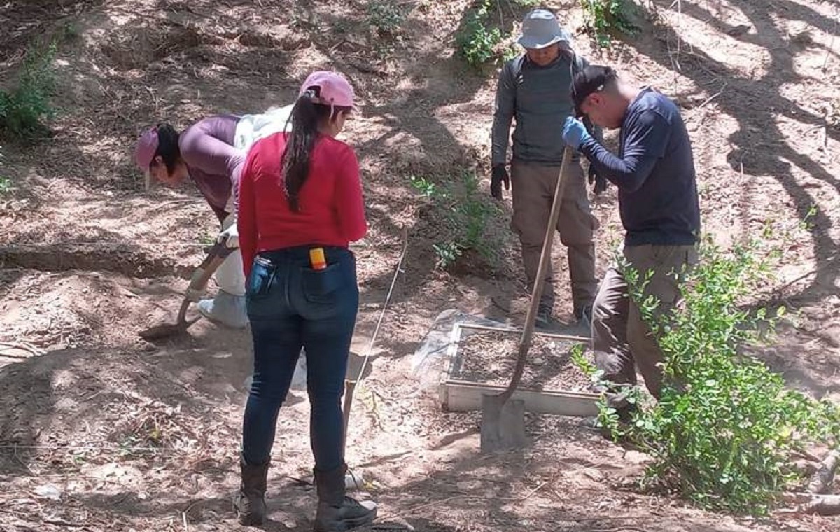 Varios restos humanos