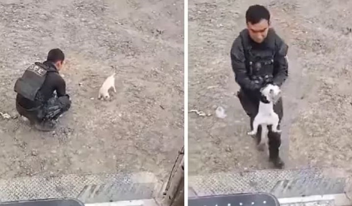 Exponen en redes a policías de Tamaulipas