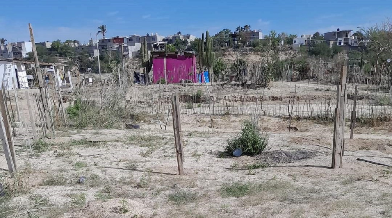 Itavu alerta por falsos gestores