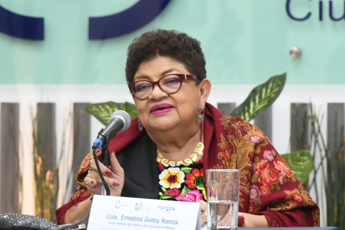 Ernestina Godoy tesis