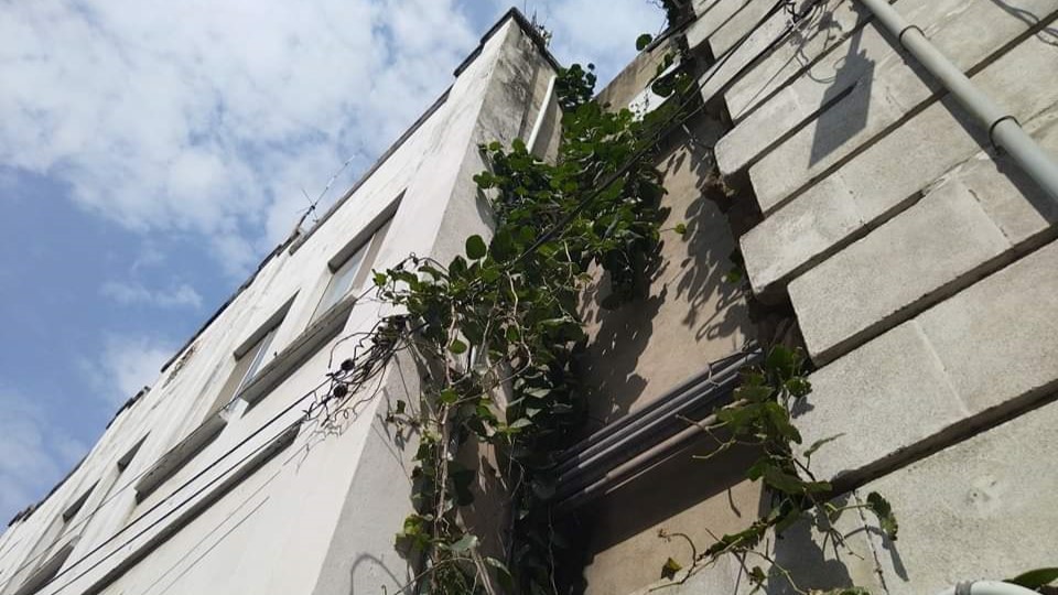 Ayuntamiento de Tampico