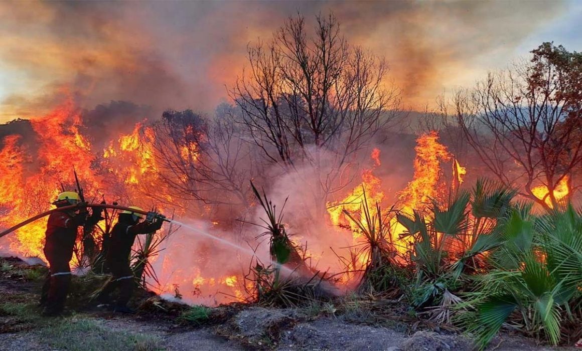 Incendios forestales en México