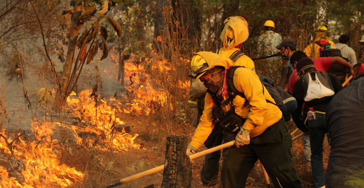 Hay 120 incendios activos en México. Se prevé que 7 mil 137 hectáreas son afectadas por los incendios forestales.