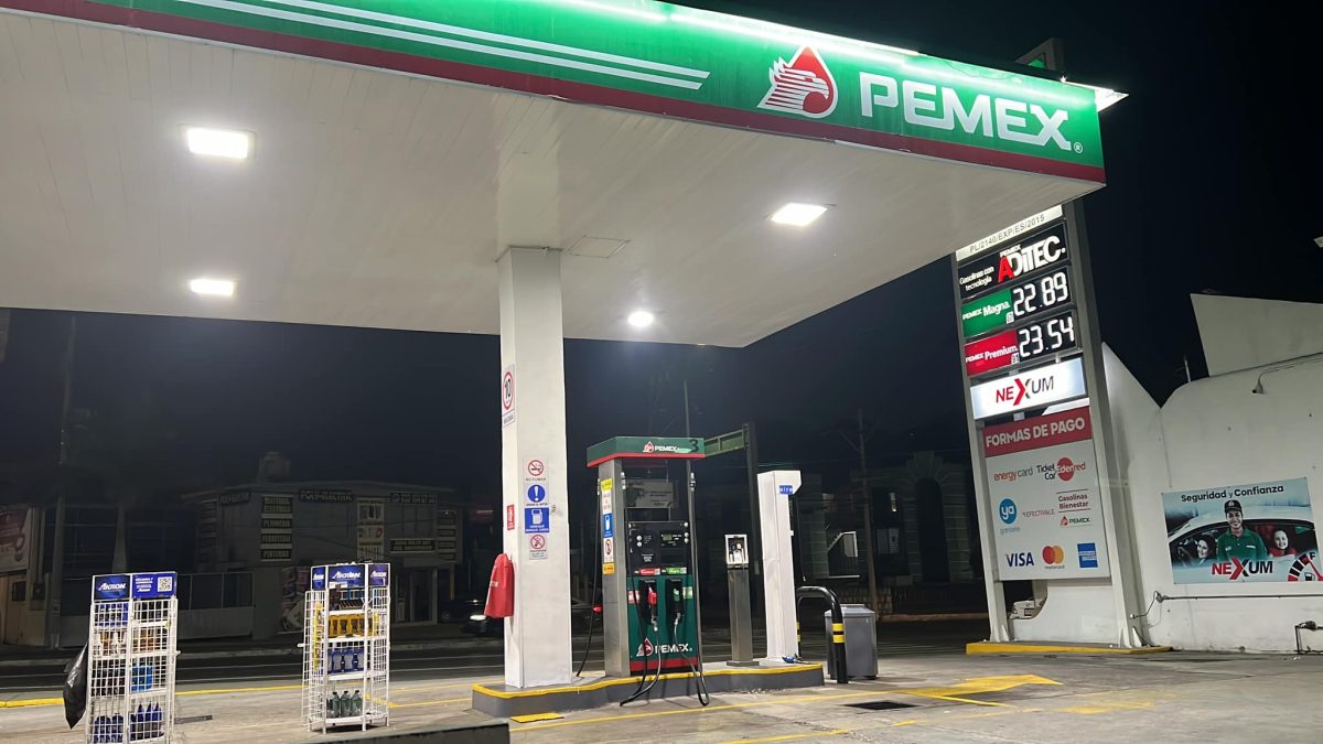 Primer trimestre 2024