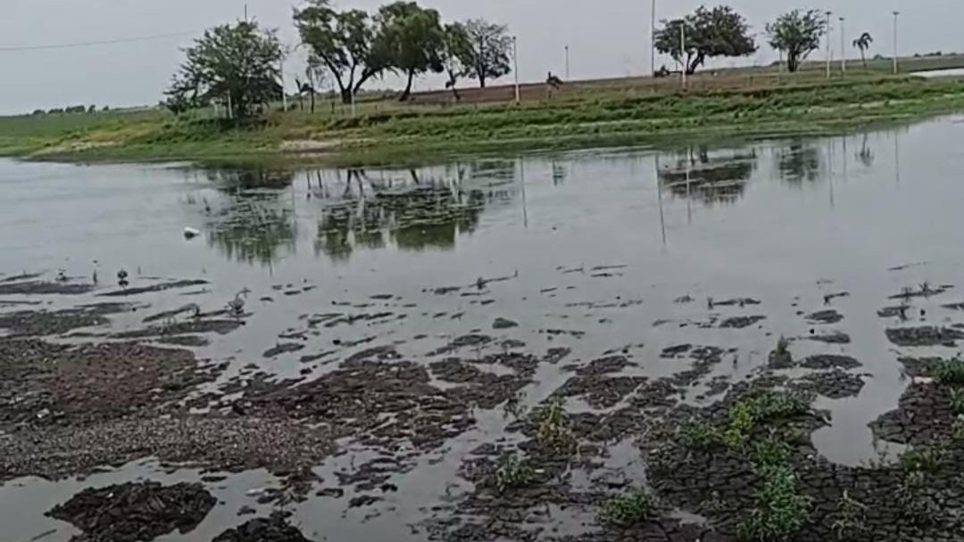 Lagunas de Tamaulipas