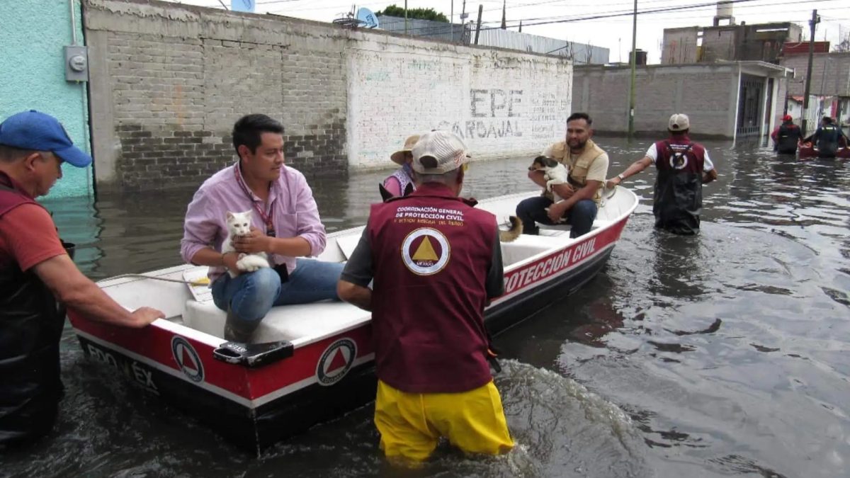 emergencia en Chalco