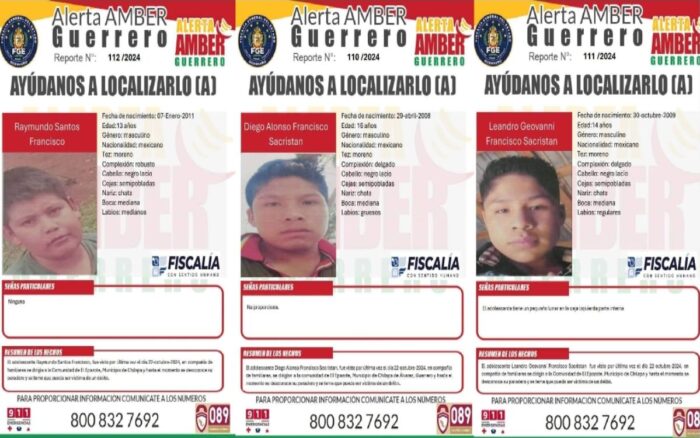 También se identificó como desaparecido a Héctor Santos de la Cruz, de 32 años de edad, José Enrique Francisco Cabrera de 26 años de edad; Alfonso Francisco Cabrera, de 35 años y Mario Francisco Millán, de 49 años de edad; hace falta conocer los datos generales de la décima persona que busca la fiscalía.