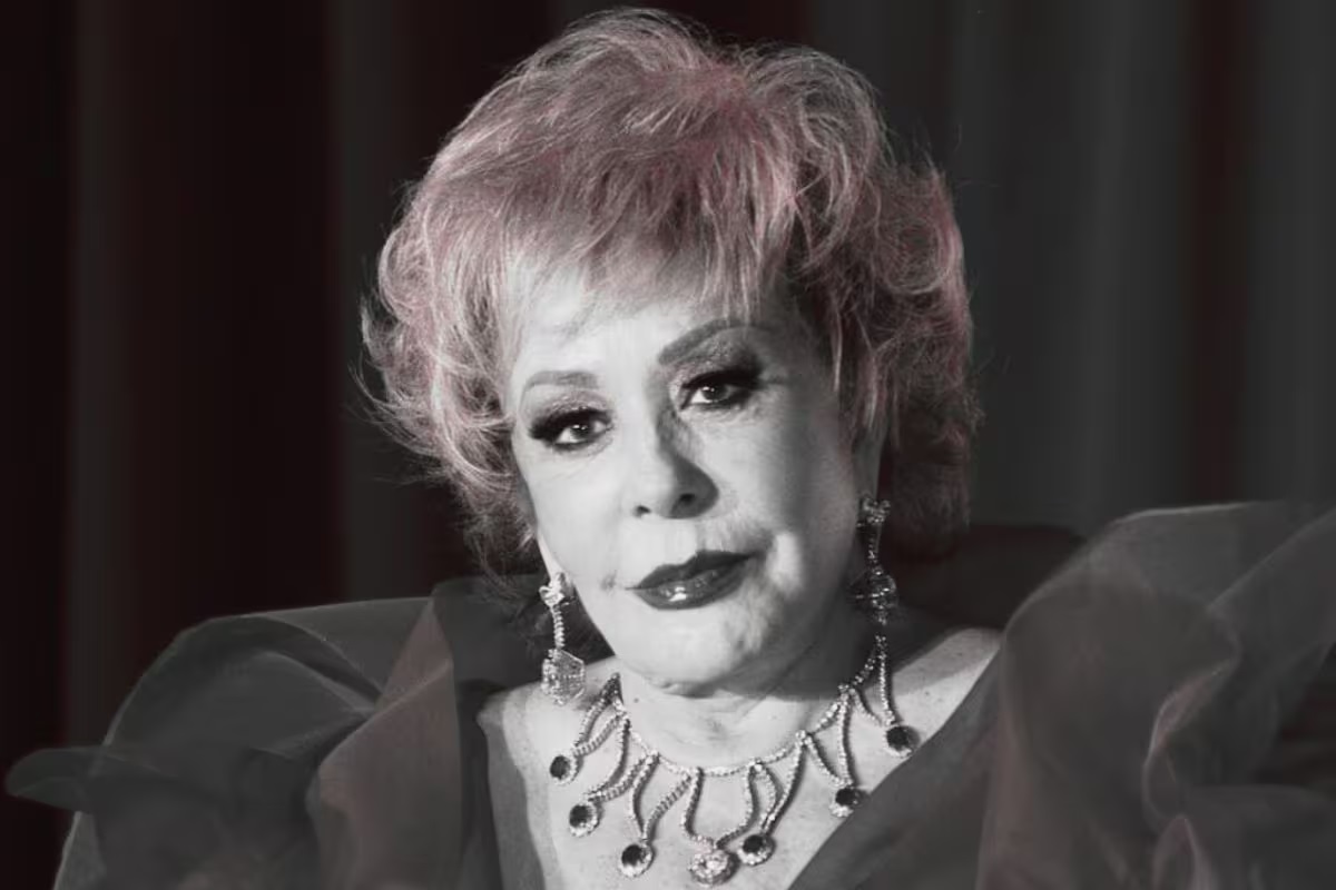 fortuna de silvia pinal