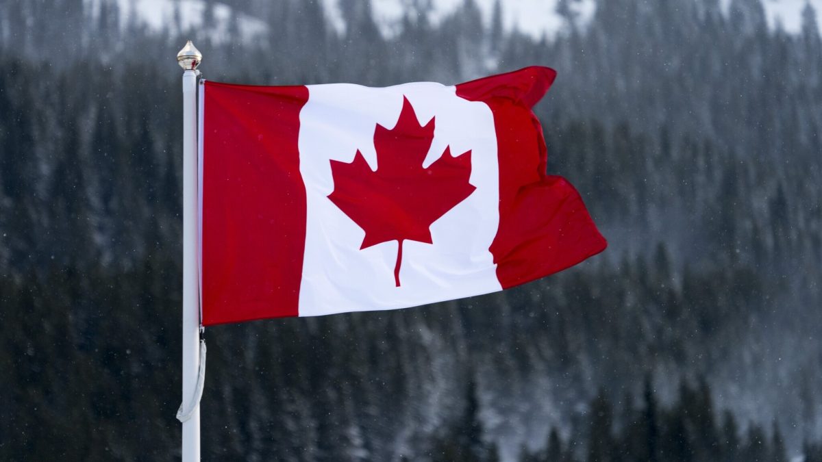 Cárteles terroristas