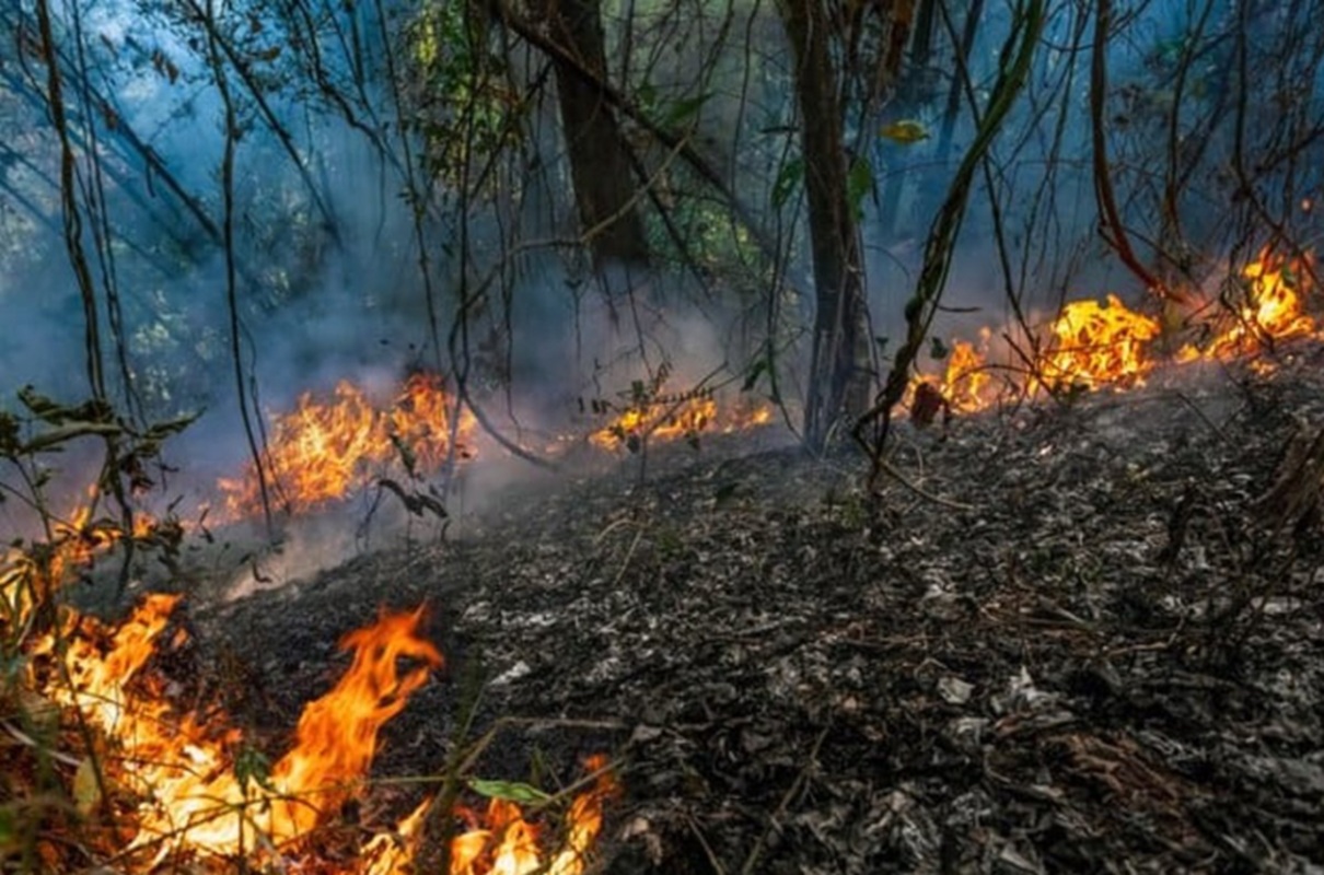 Tamaulipas y incendios