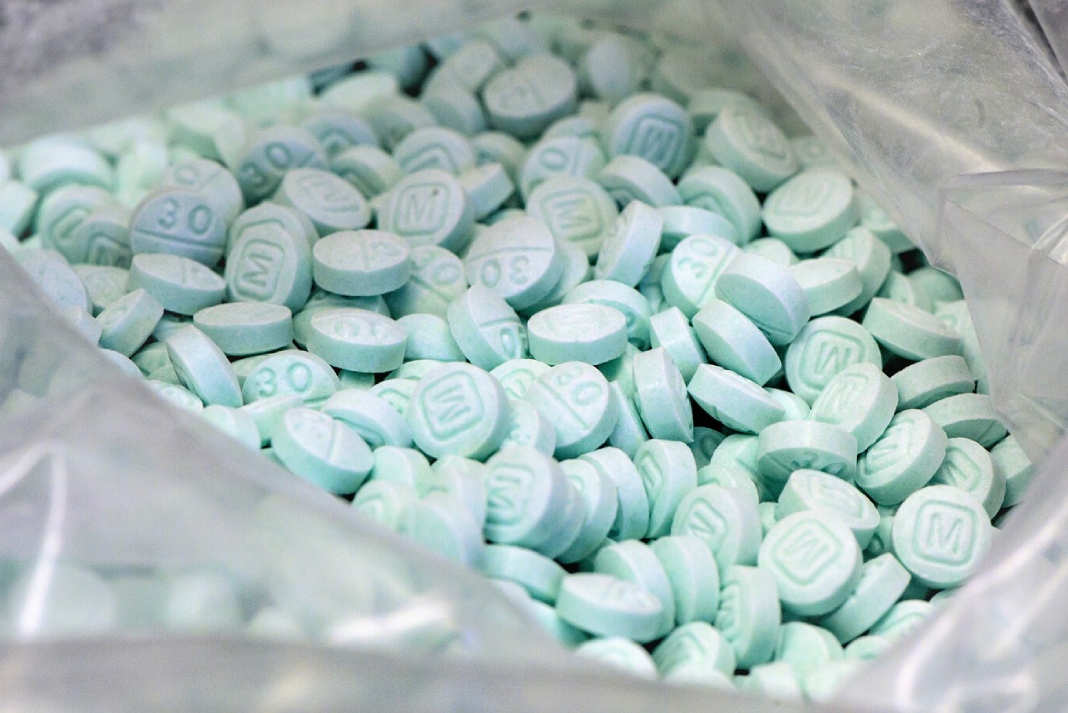 Crece con Sheinbaum incautación de fentanilo. En enero y febrero de 2025 se decomisaron un promedio mensual de 44.5 kilos.