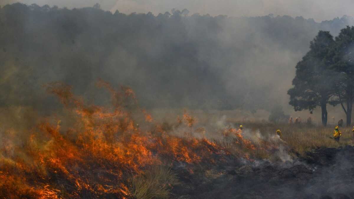 De acuerdo con la coordinadora nacional de Protección Civil, Laura Velázquez, hay 114 incendios forestales activos en el país.