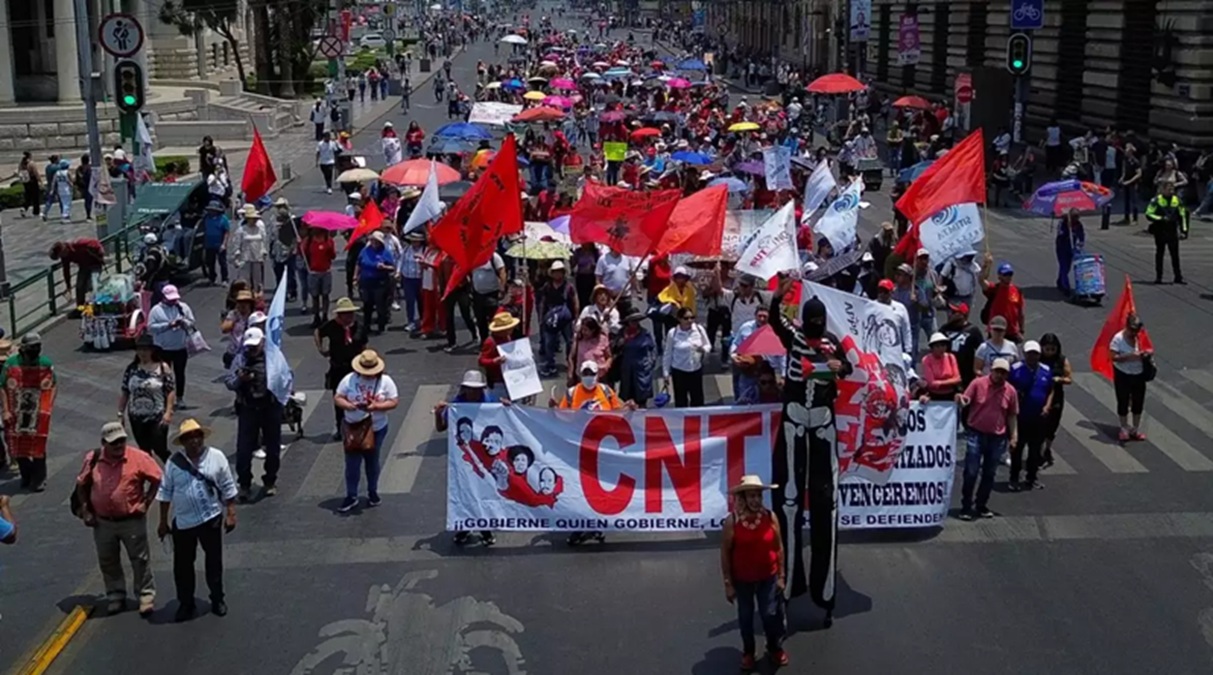 cnte y
