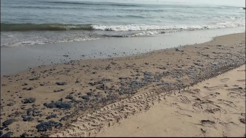 Derrame de hidrocarburos