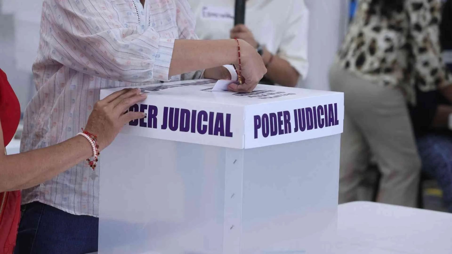 INE perfila no cancelar candidaturas presuntamente vinculadas al crimen; revisión será tras elección judicial.