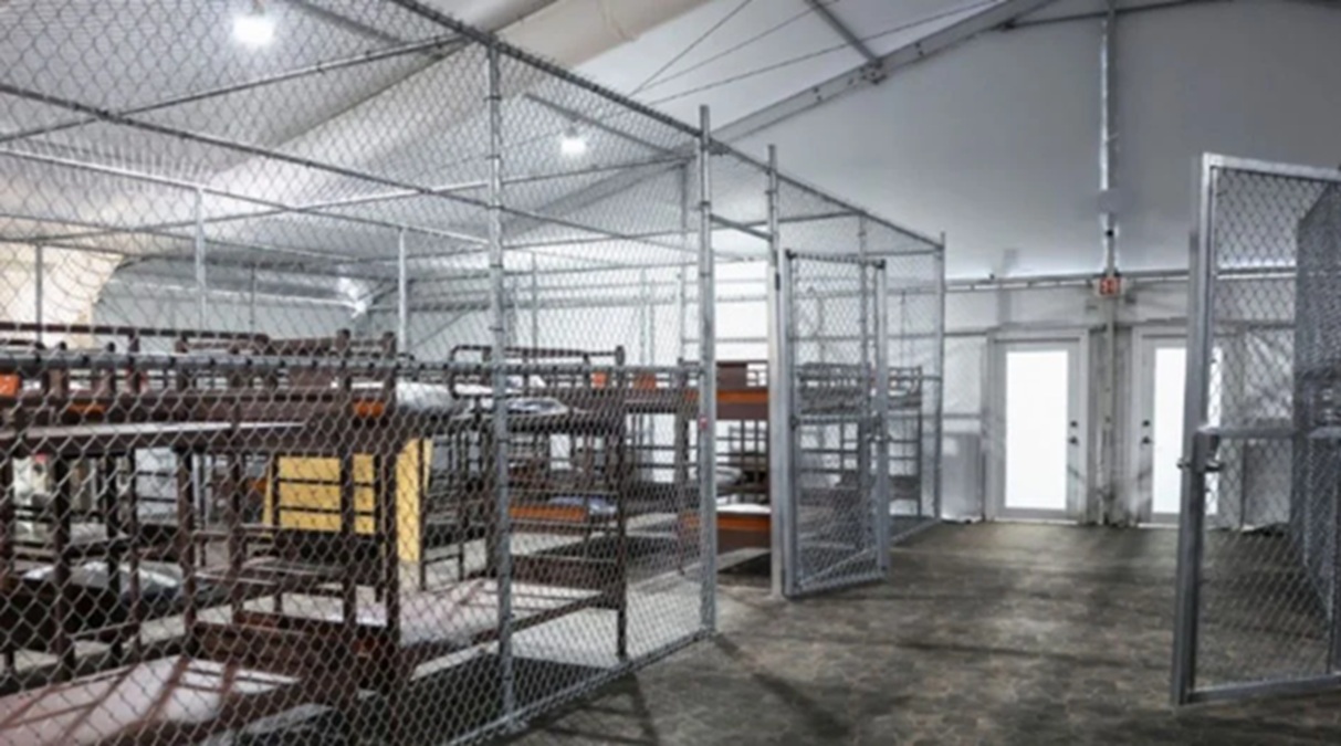 Alligator Alcatraz y