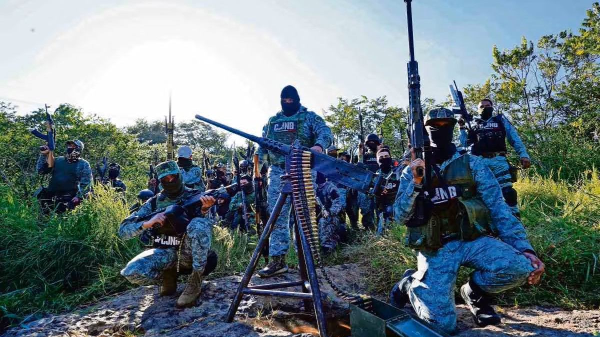 Narcotráfico e impunidad